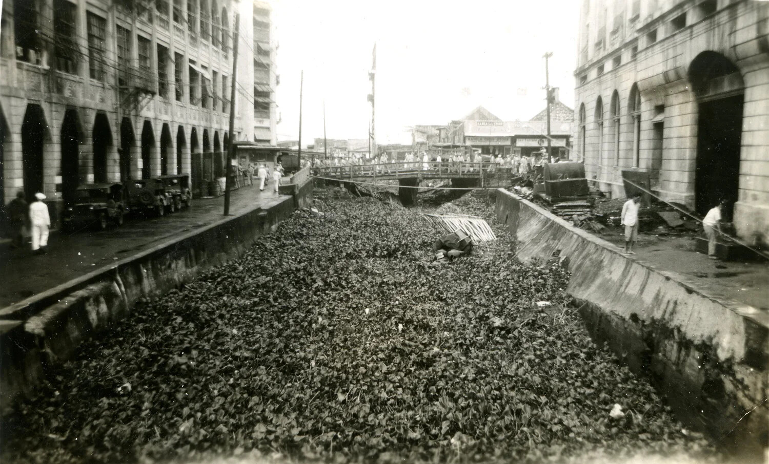 Water Hyacinth-Choked City Canal with Colonnaded Buildings, Manila-Style Street Scene, WWII Photo Album