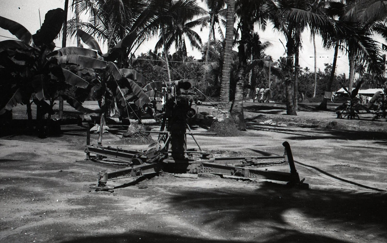 40mm Anti-Aircraft Gun Emplaced in Coconut Grove, Luzon, Philippines, WWII