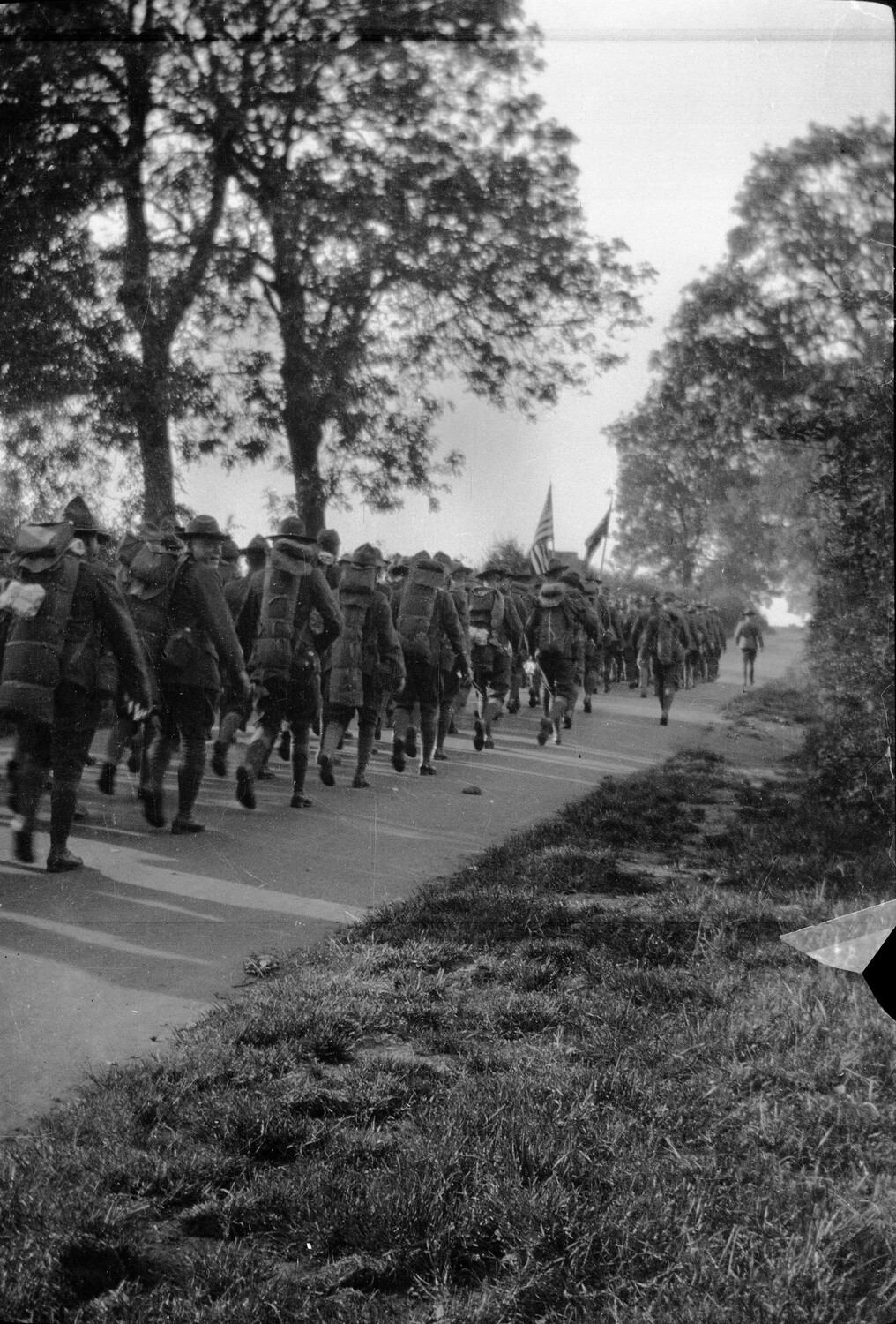 American Expeditionary Forces Infantry Column Marching on a Tree-Lined Road, France, World War I