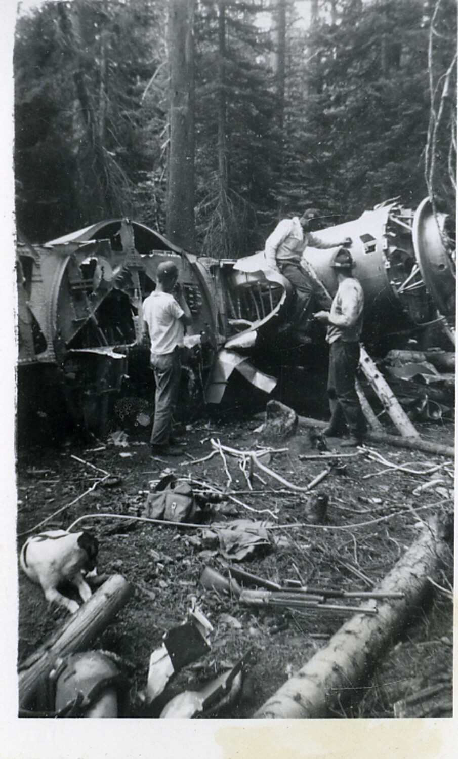Wreckage of B-17 Flying Fortress Bomber in Forest Crash Site, Fuselage and Engine Nacelle Detail