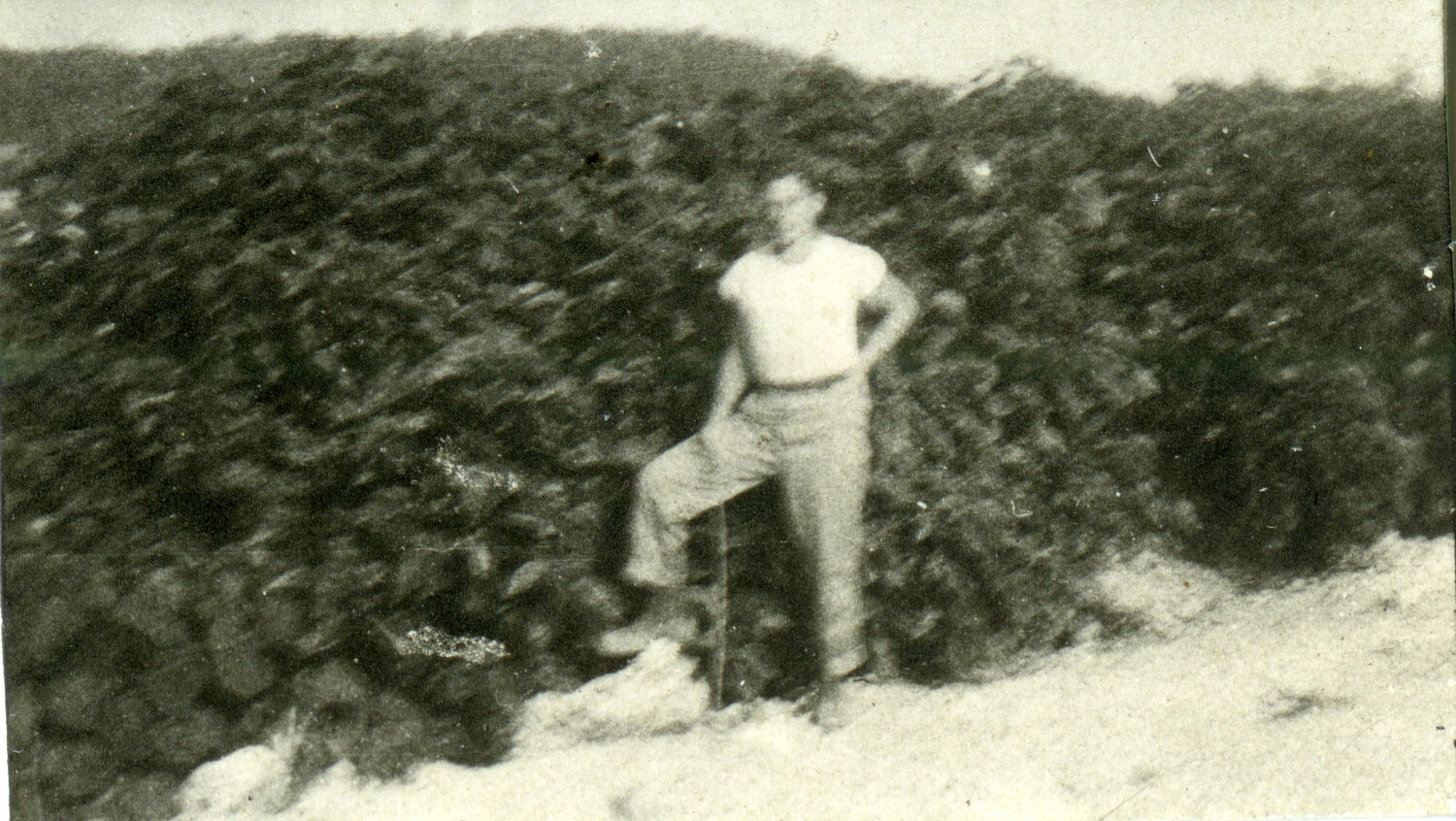 Serviceman Posing Against a Coral Rock Embankment, Pacific Theater, WWII Era