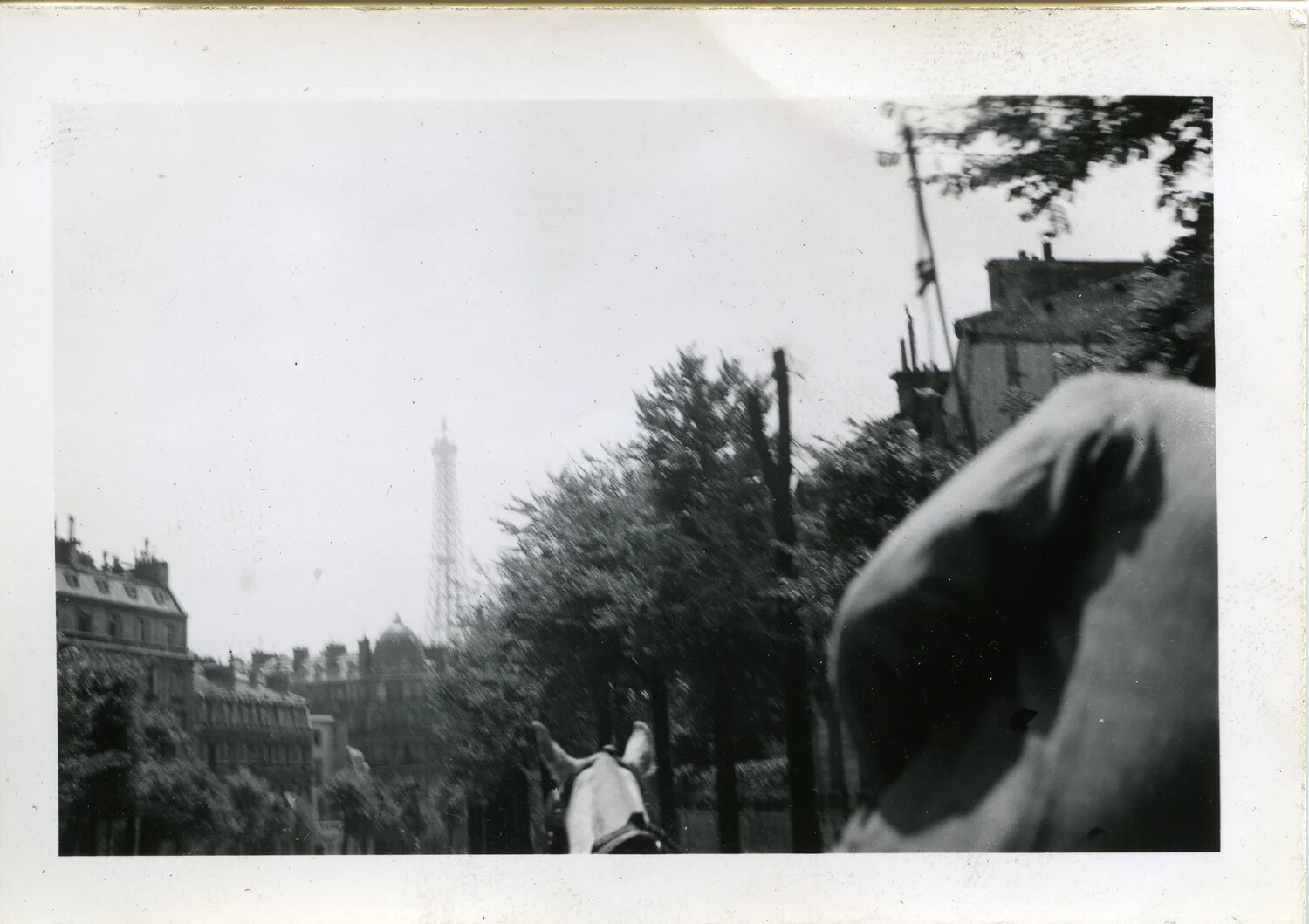View of the Eiffel Tower from a Horse-Drawn Carriage, Paris, WWII Era