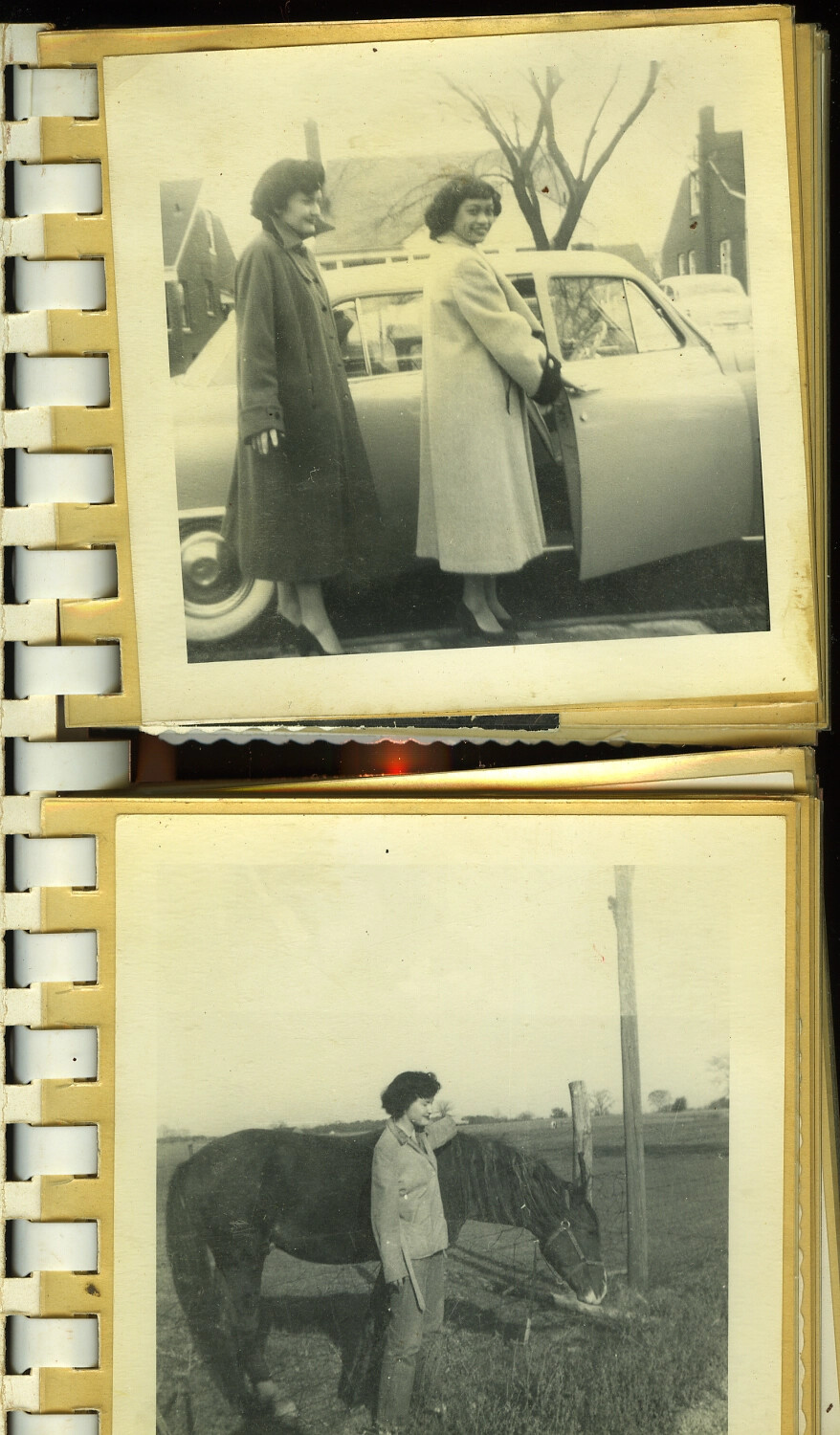 Personal Photo Album Page — Women's Snapshots with Automobile and Horse, WAF Collection, 1950s