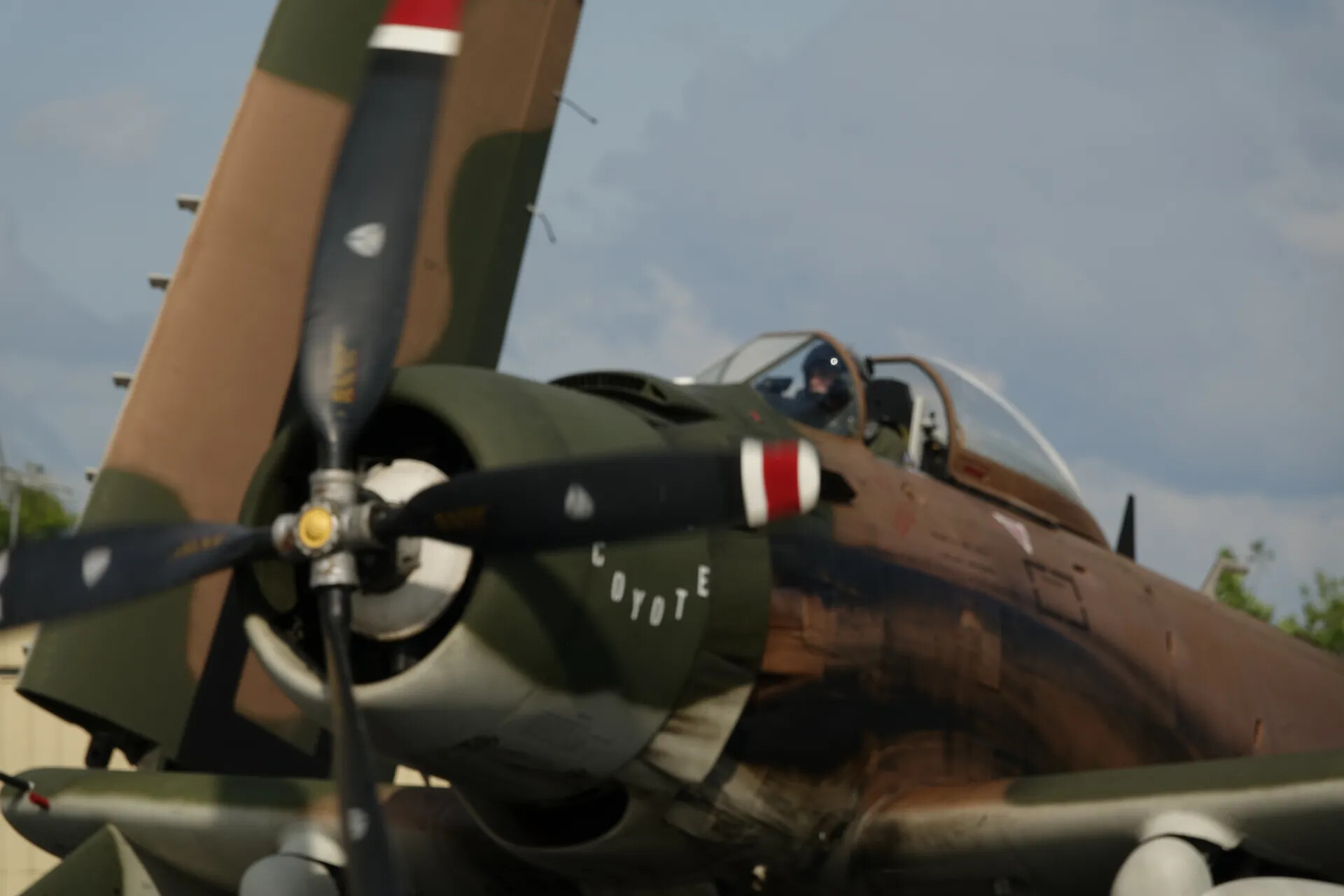 Restored A-1 Skyraider "Coyote" with Pilot in Cockpit, Airshow Event