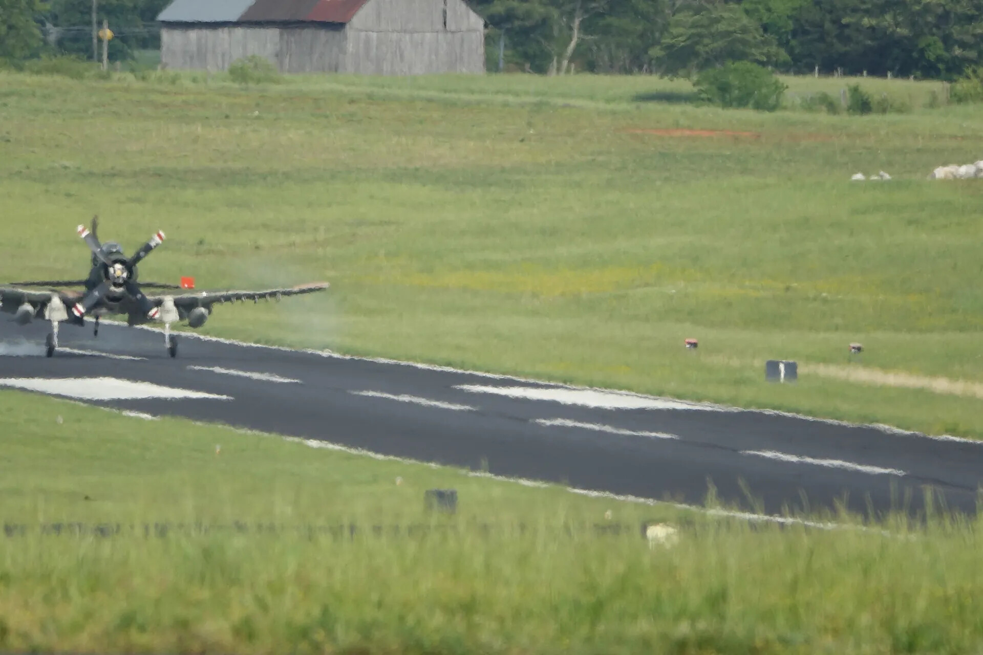 Restored A-1 Skyraider Touching Down at Rural Airstrip Fly-In, May 2019