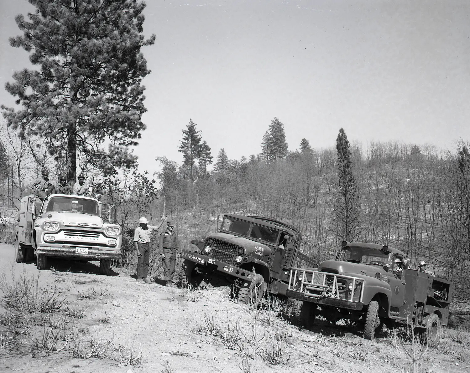 Army National Guard Truck and Fire Apparatus in Burned Forest During Wildfire Response