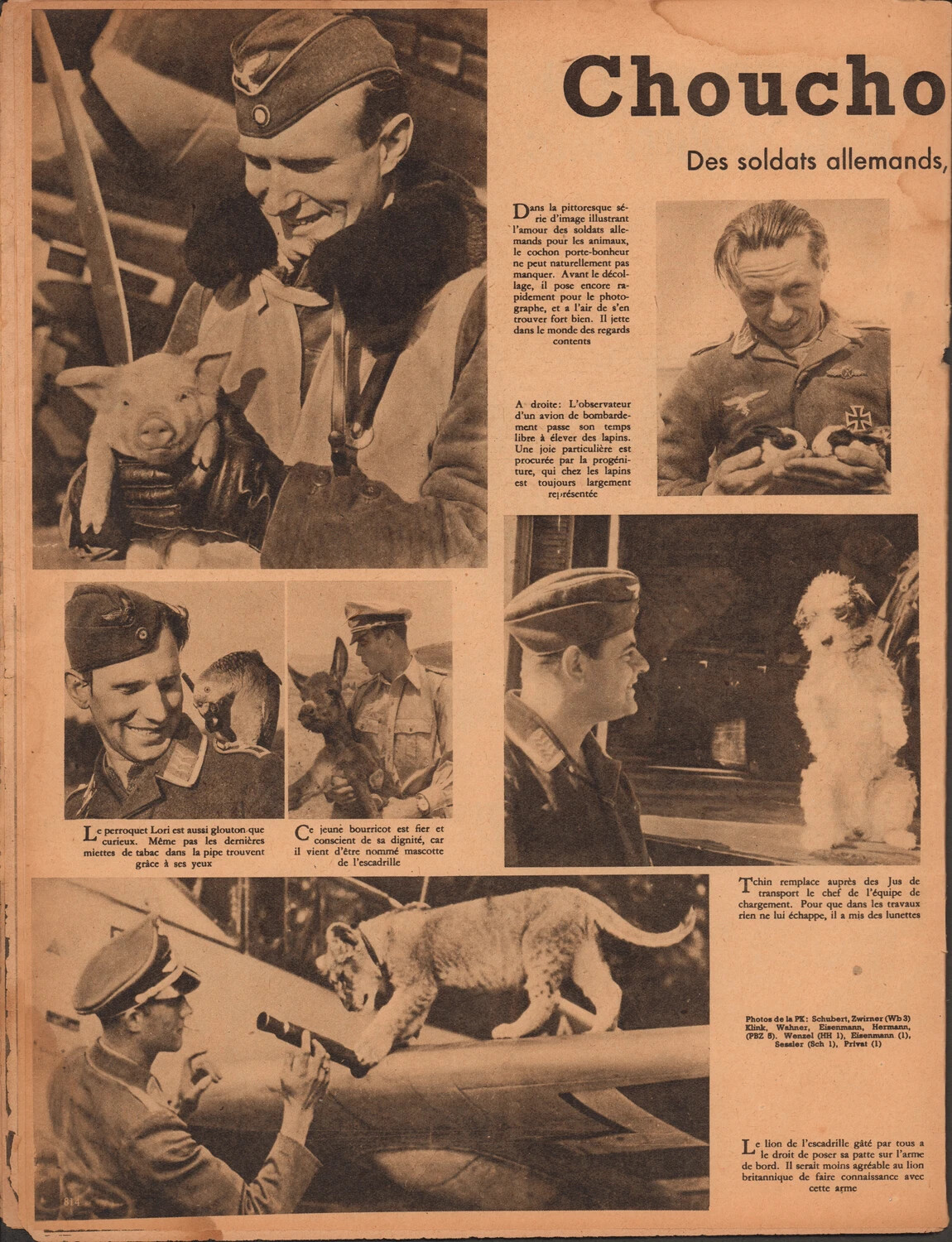 Der Adler Magazine, French Edition, p.814: 'Chouchous' -- German Airmen and Their Animal Mascots