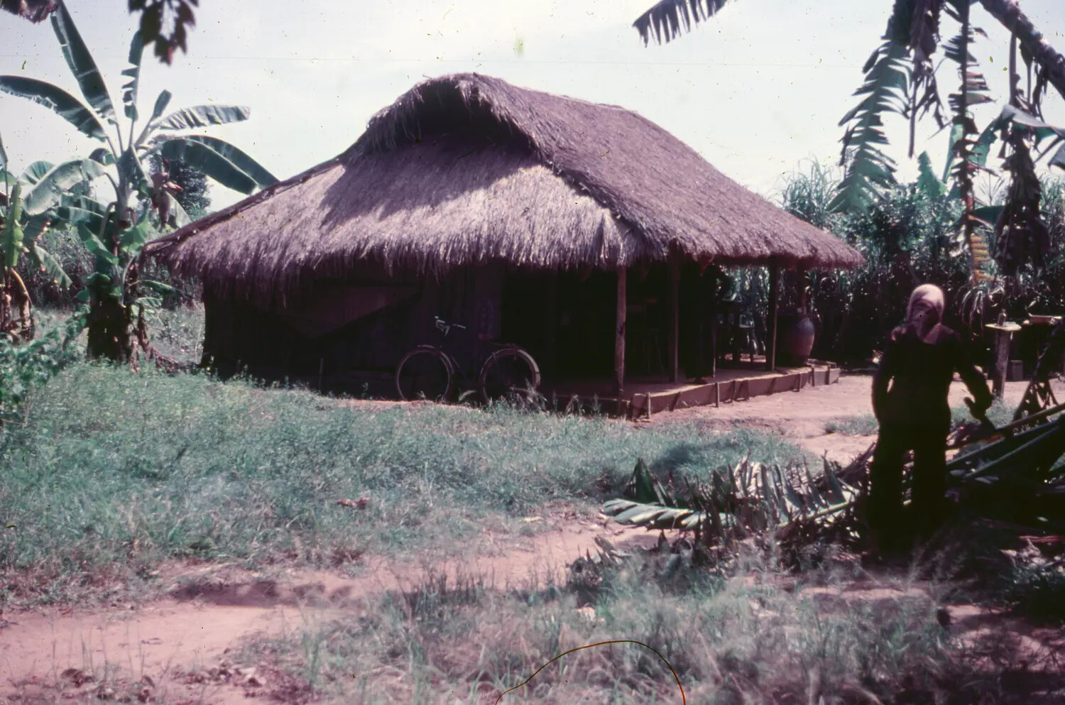 Vietnamese Thatched-Roof Village Dwelling with Bicycle and Resident, circa 1965