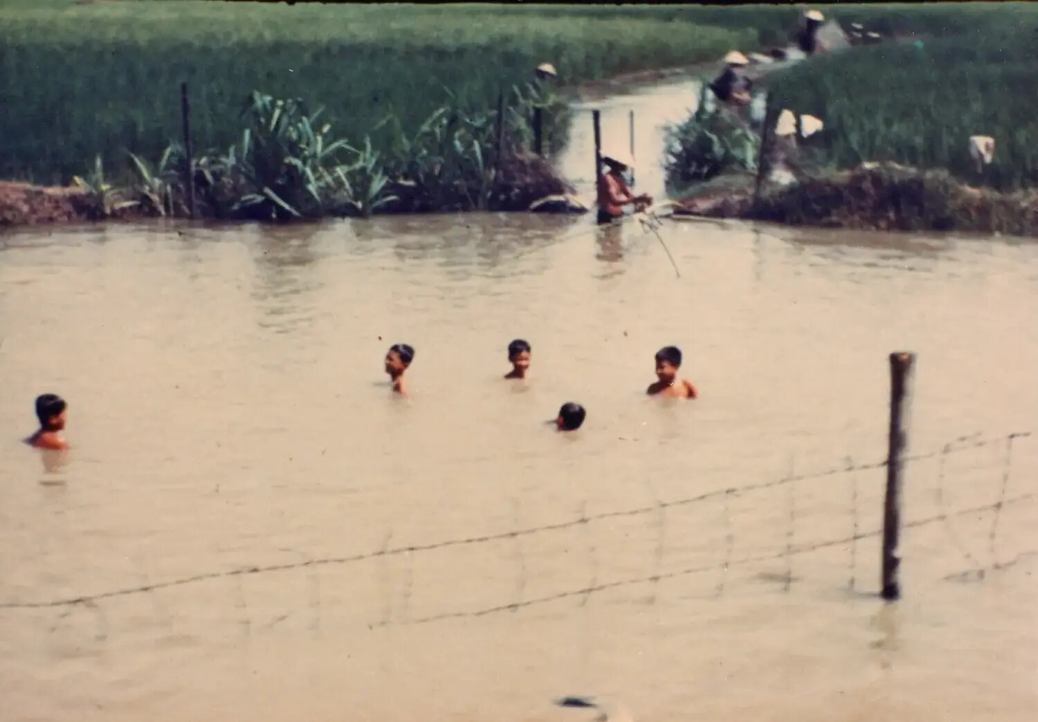 Vietnamese Children Bathing in Rice Paddy Near Military Perimeter Fence, Cu Chi, Vietnam, 1967