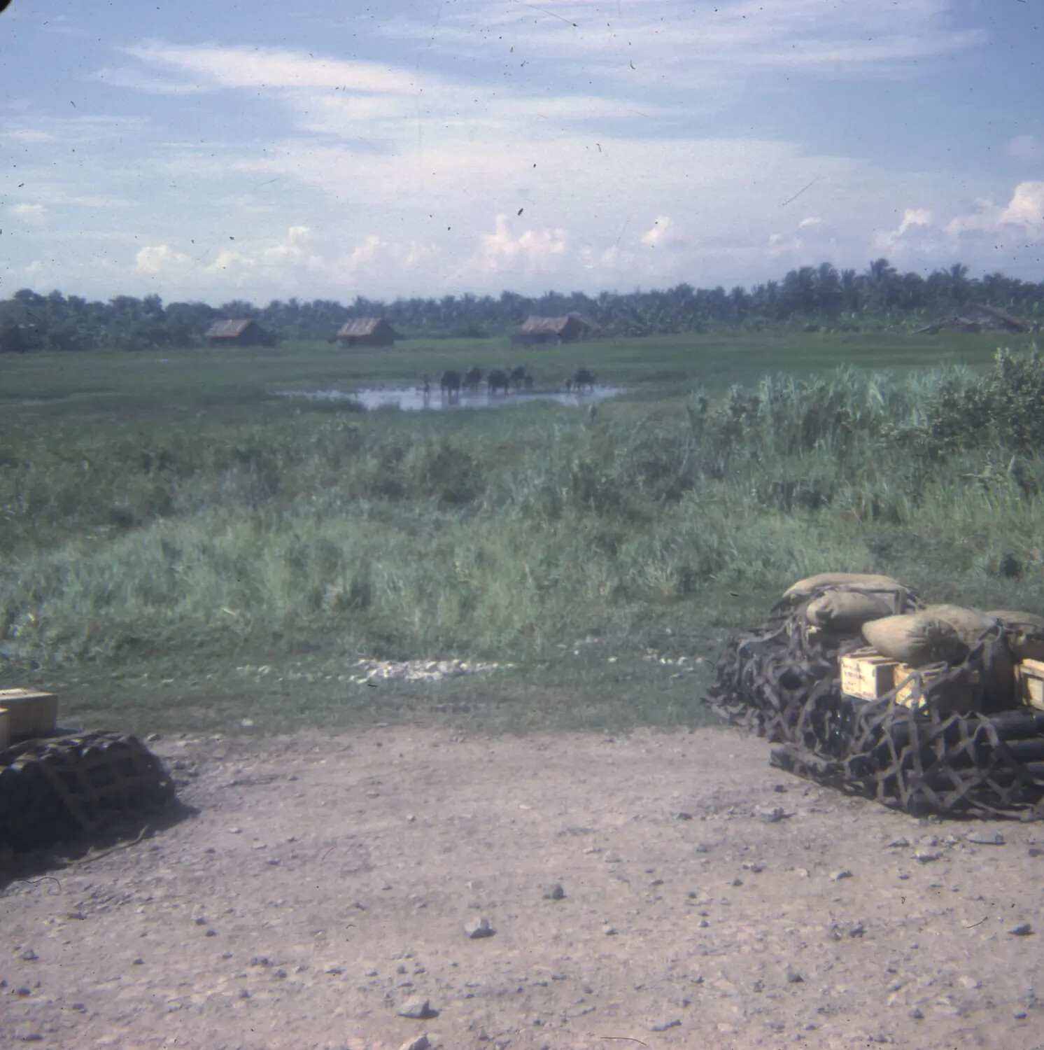 Rice Paddy and Village Beyond a Military Position, Vietnam