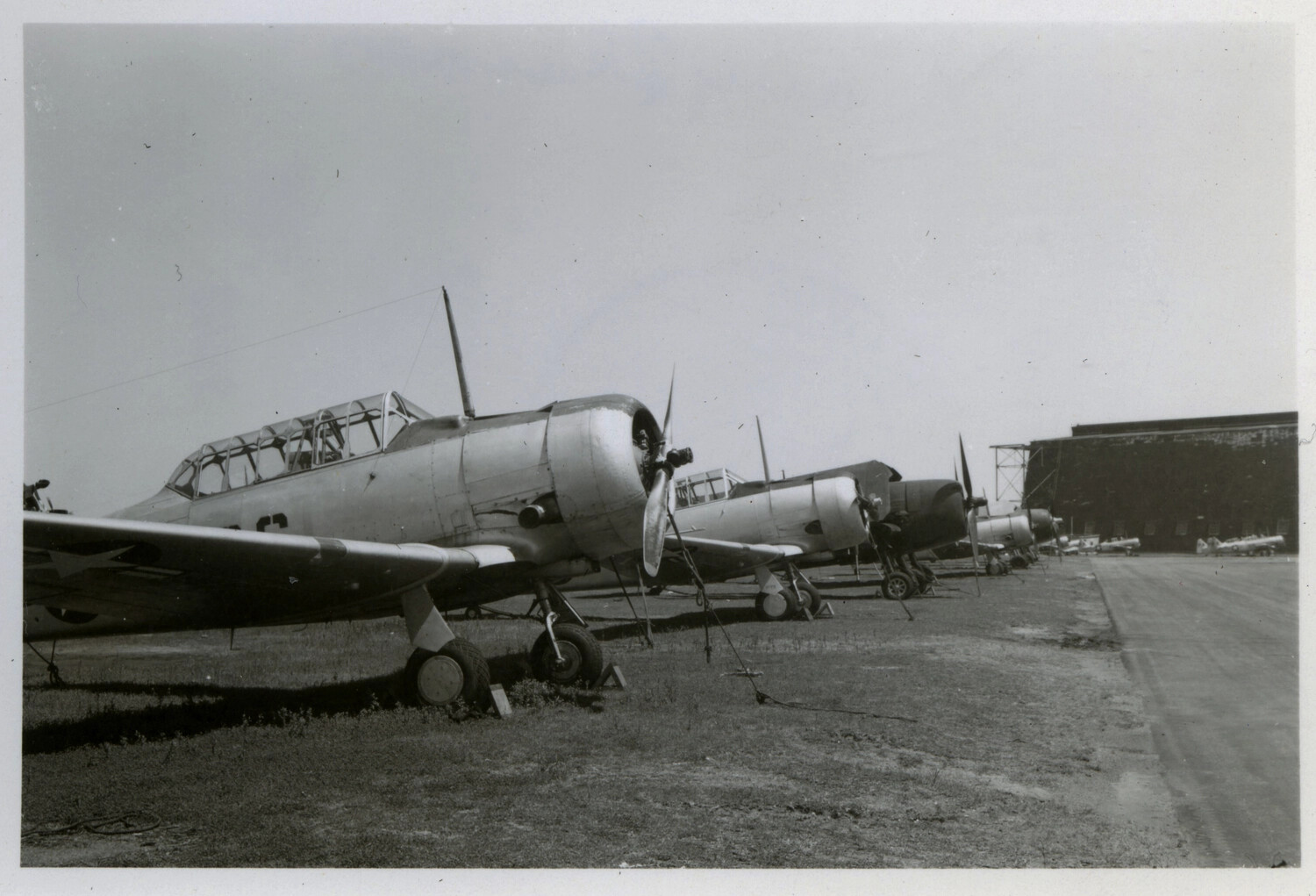 Row of North American T-6 Texan Trainer Aircraft on Flight Line, Korean War Era