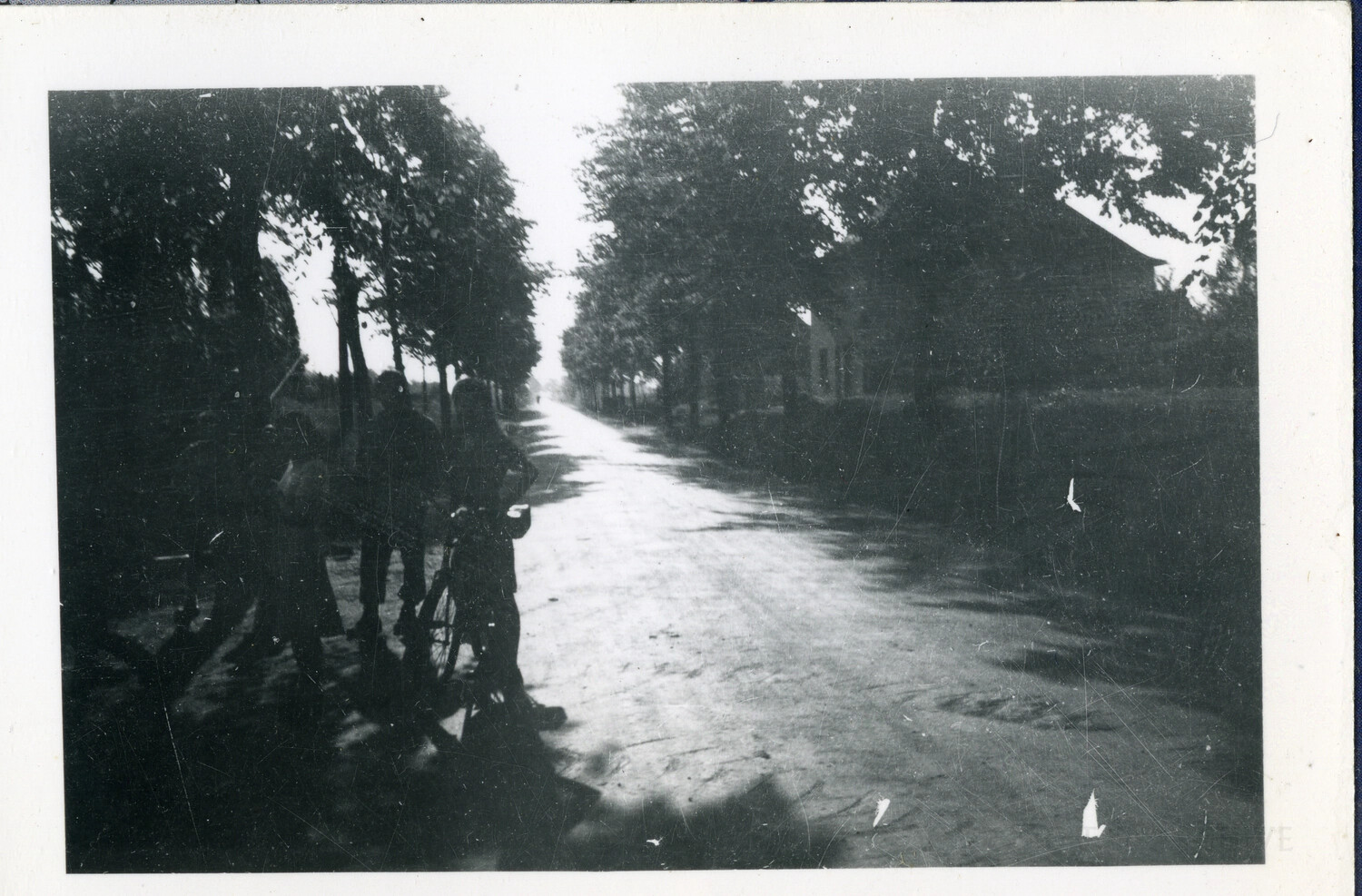 Tree-Lined Country Road with Soldiers and Bicycle, WWII European Theater