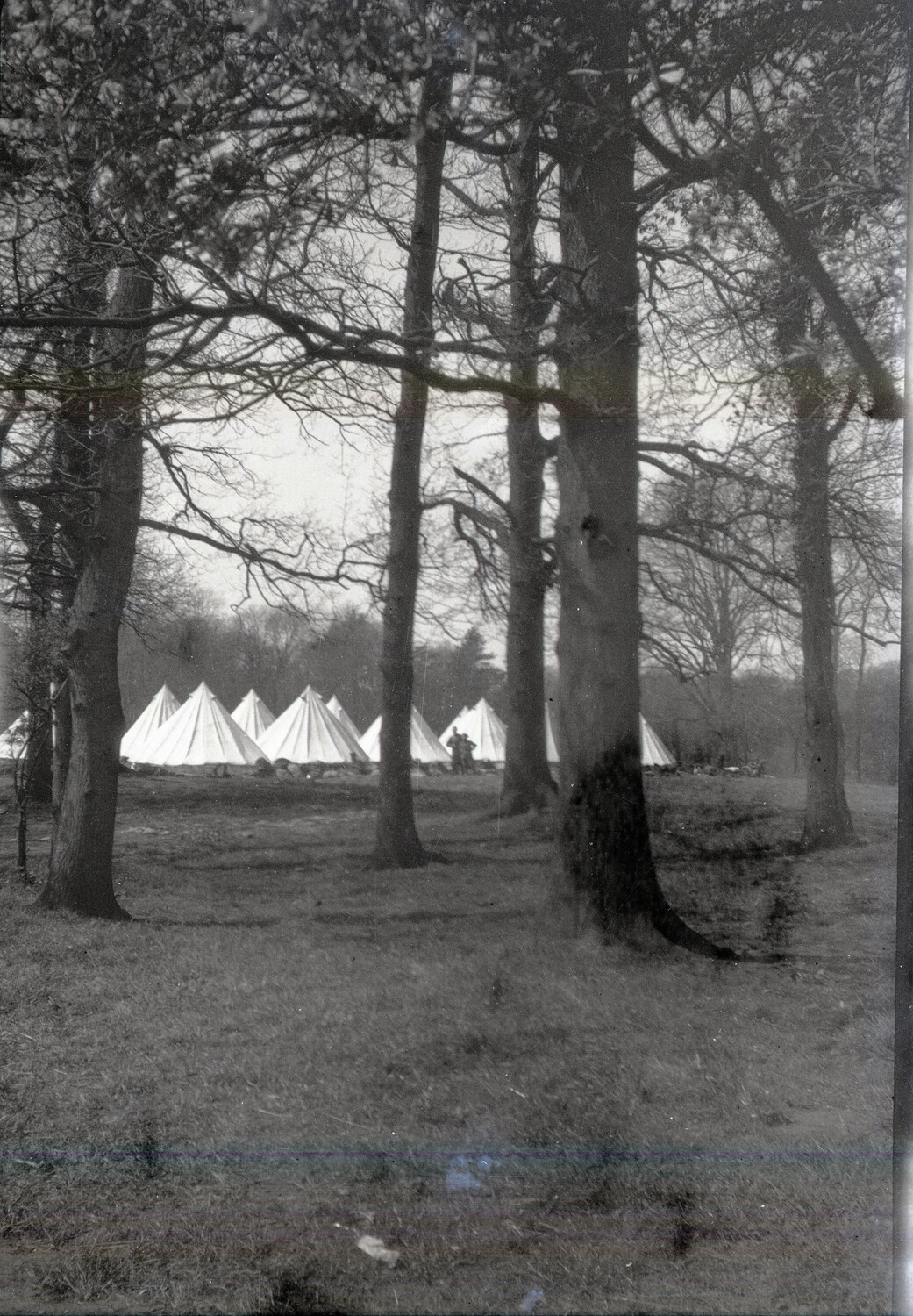 WWI Military Tent Encampment Viewed Through Trees, France/England Negative Collection