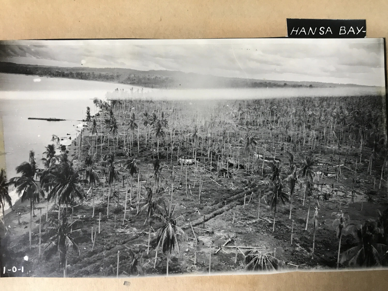 Devastated Coconut Plantation Along Coastal Lagoon, Hansa Bay, New Guinea (Print No. 1-0-1)