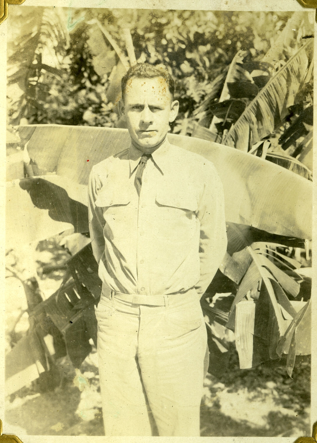 Serviceman in Khaki Uniform Before Banana Palms, Manila Photo Album