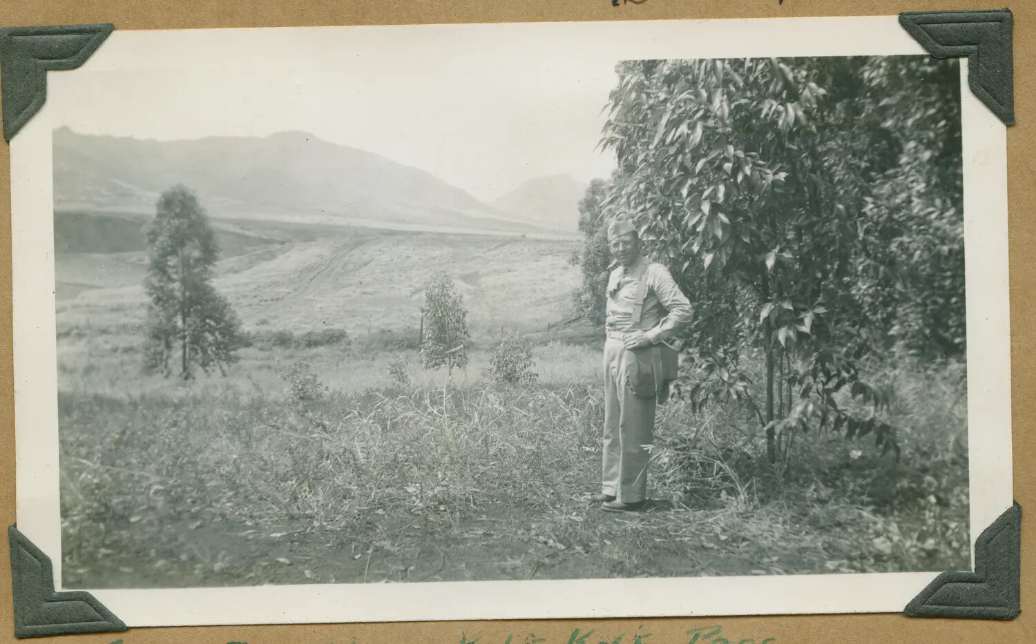 Serviceman Beside a Roadside Tree in an Oahu Valley, Hawaii, WWII Era