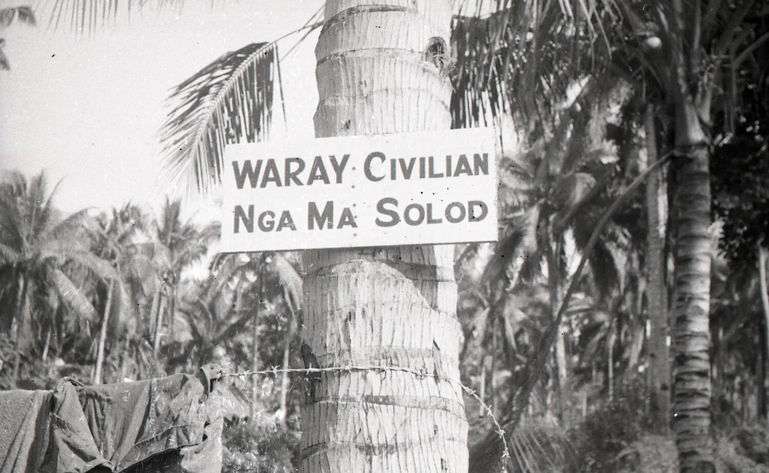 Hand-Painted Waray-Language Sign on Coconut Palm, Philippines, WWII Era