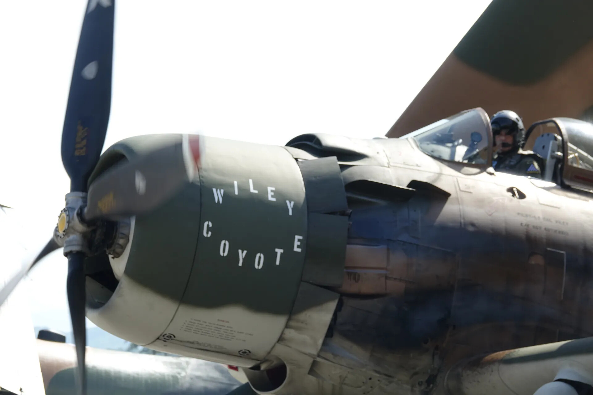 Close-Up of Restored A-1 Skyraider 'Wiley Coyote' Cowling and Cockpit