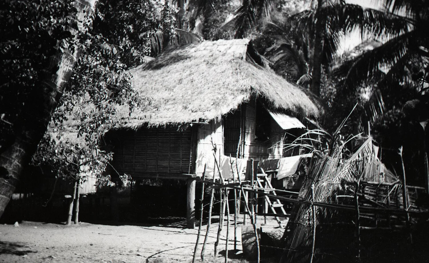 Traditional Nipa Hut (Bahay Kubo) Amid Coconut Palms, Luzon, Philippines, WWII Era