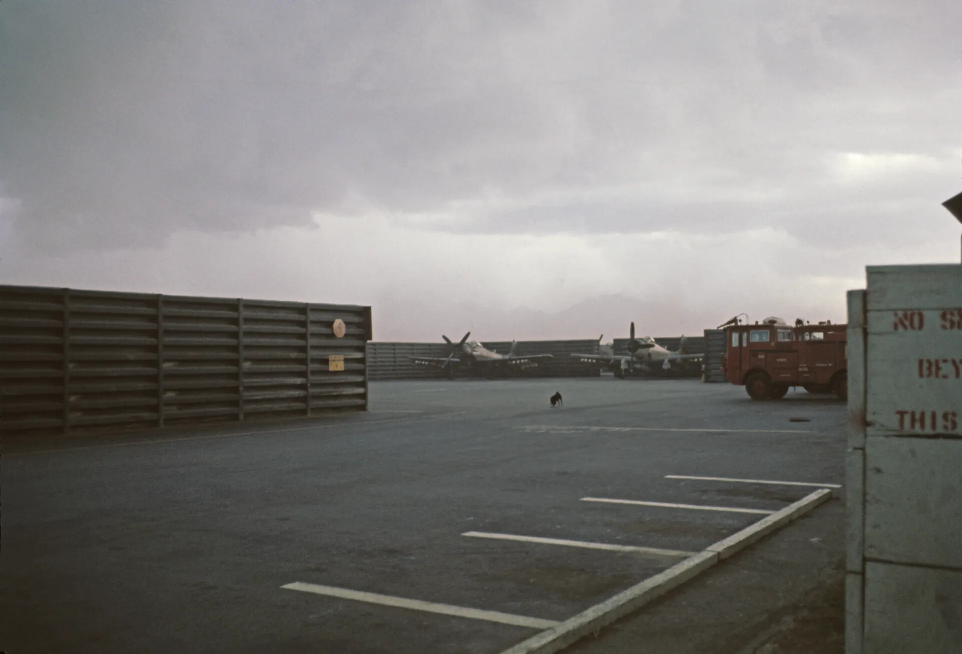 A-1 Skyraiders in Revetments and a Crash Fire Truck on a Rain-Wet Ramp, circa June 1970