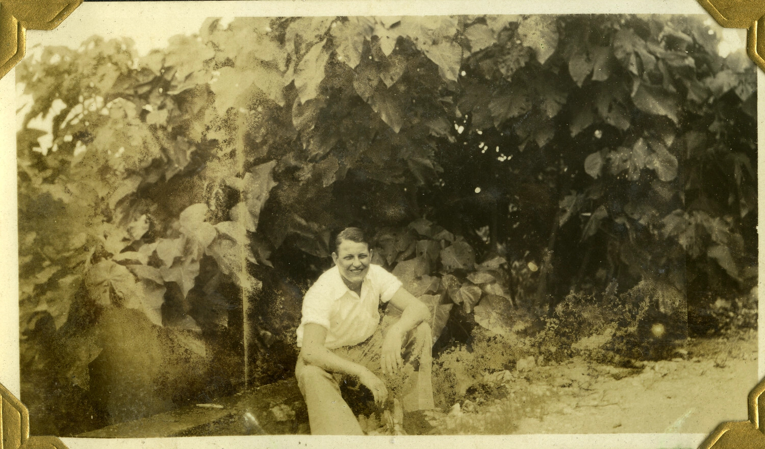 Snapshot of a Young Man Seated Amid Foliage, Manila Photo Album