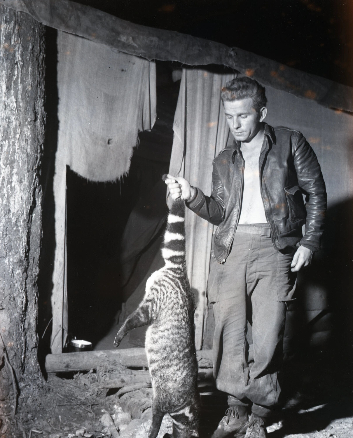 USAAF Airman Holding Civet/Small Mammal by Tail Outside Camp Shelter, CBI Theater