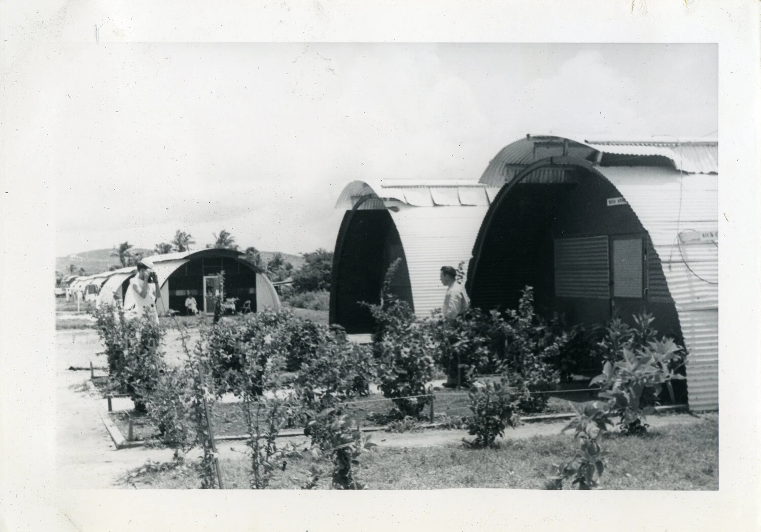 Quonset Huts and Garden Plot, NAS Agana, Guam (VR-6 Squadron Album)