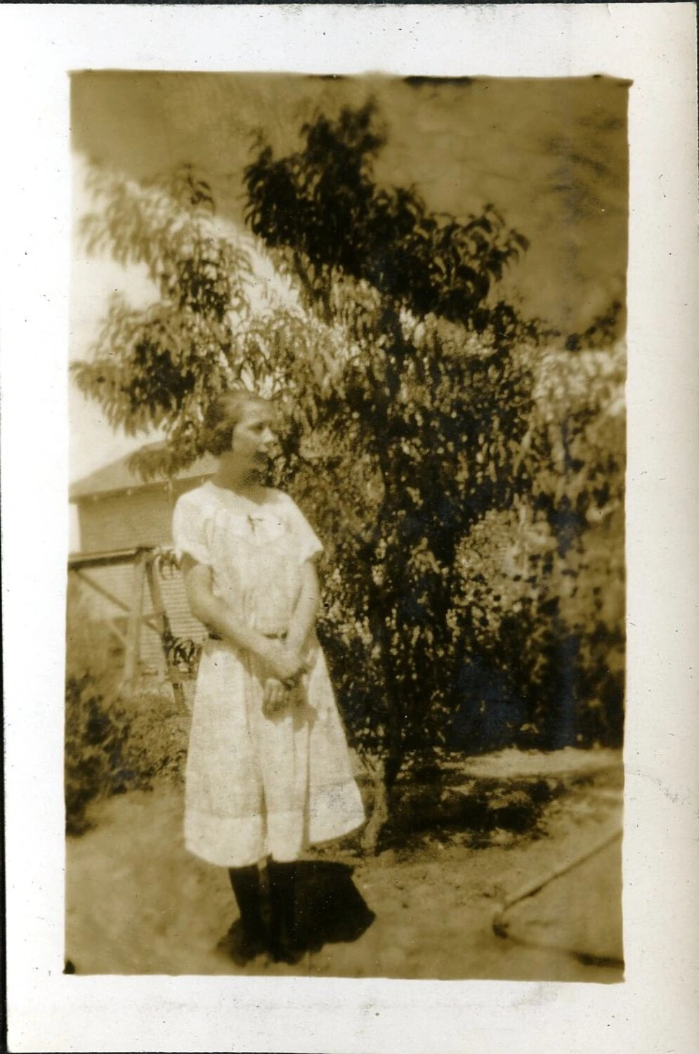 Portrait of a Young Woman in Garden Setting, WWI-Era Photo Album