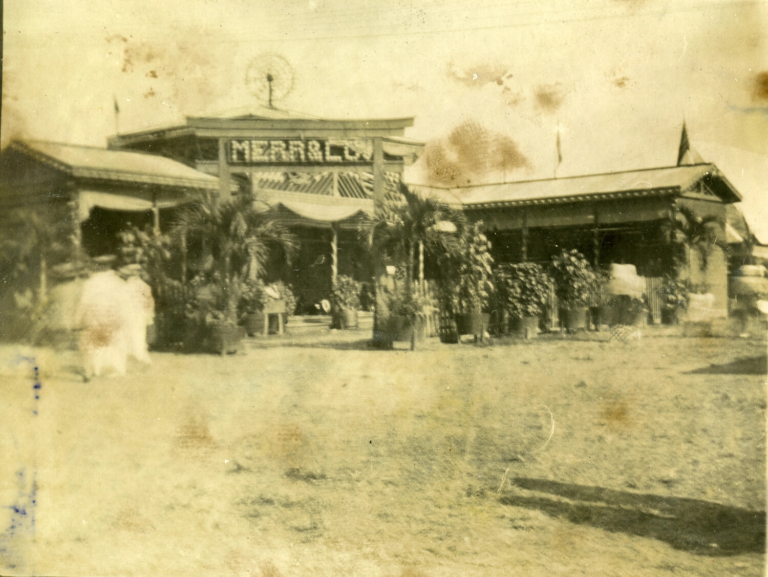 Storefront Building with Sign and Tropical Plantings, Philippines, Early 1900s (Carl Stone Album)