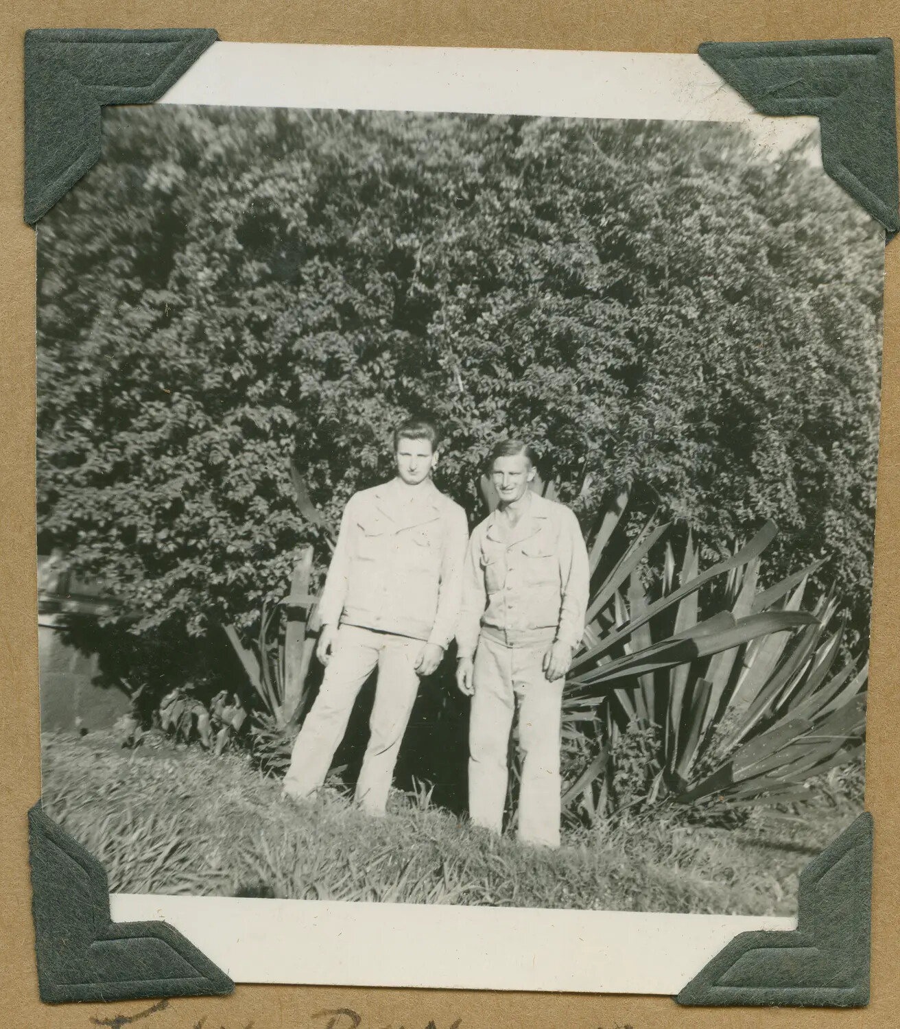 Portrait of Two Soldiers, John Buncich and Ray Winatt, Hawaii, World War II Era