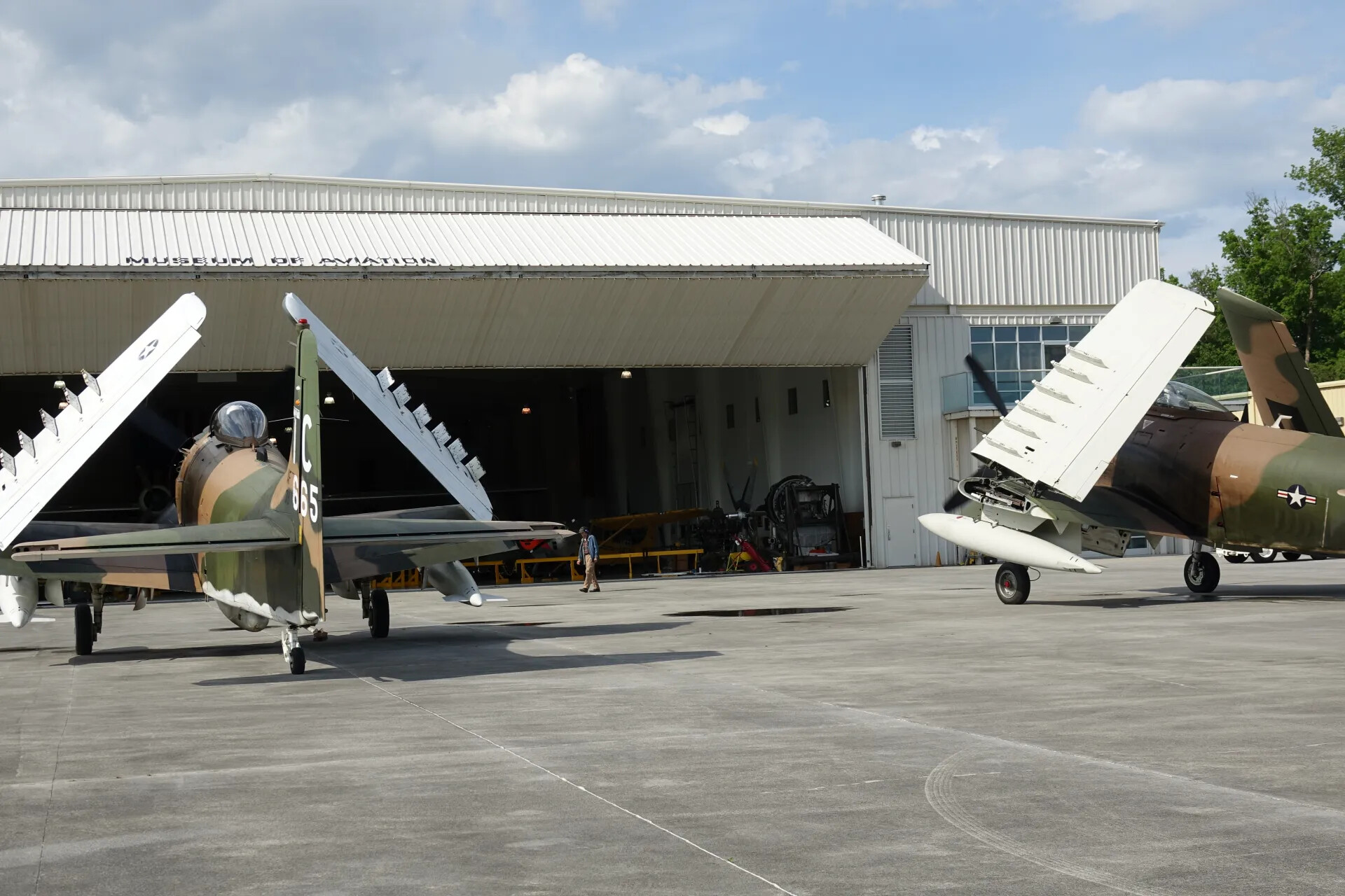 Douglas A-1 Skyraiders on Ramp, Museum of Aviation, Wings Folded (Alternate Frame)