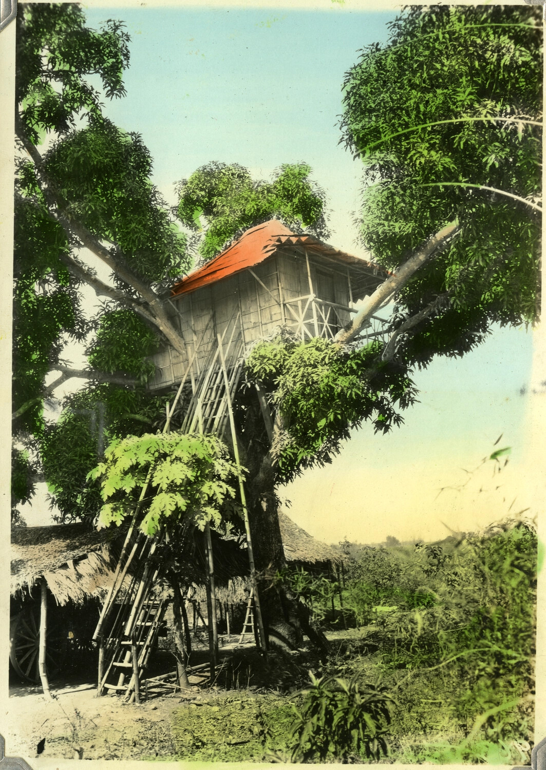 Elevated Bamboo Treehouse in a Rural Philippine Barrio, Early-to-Mid 20th Century