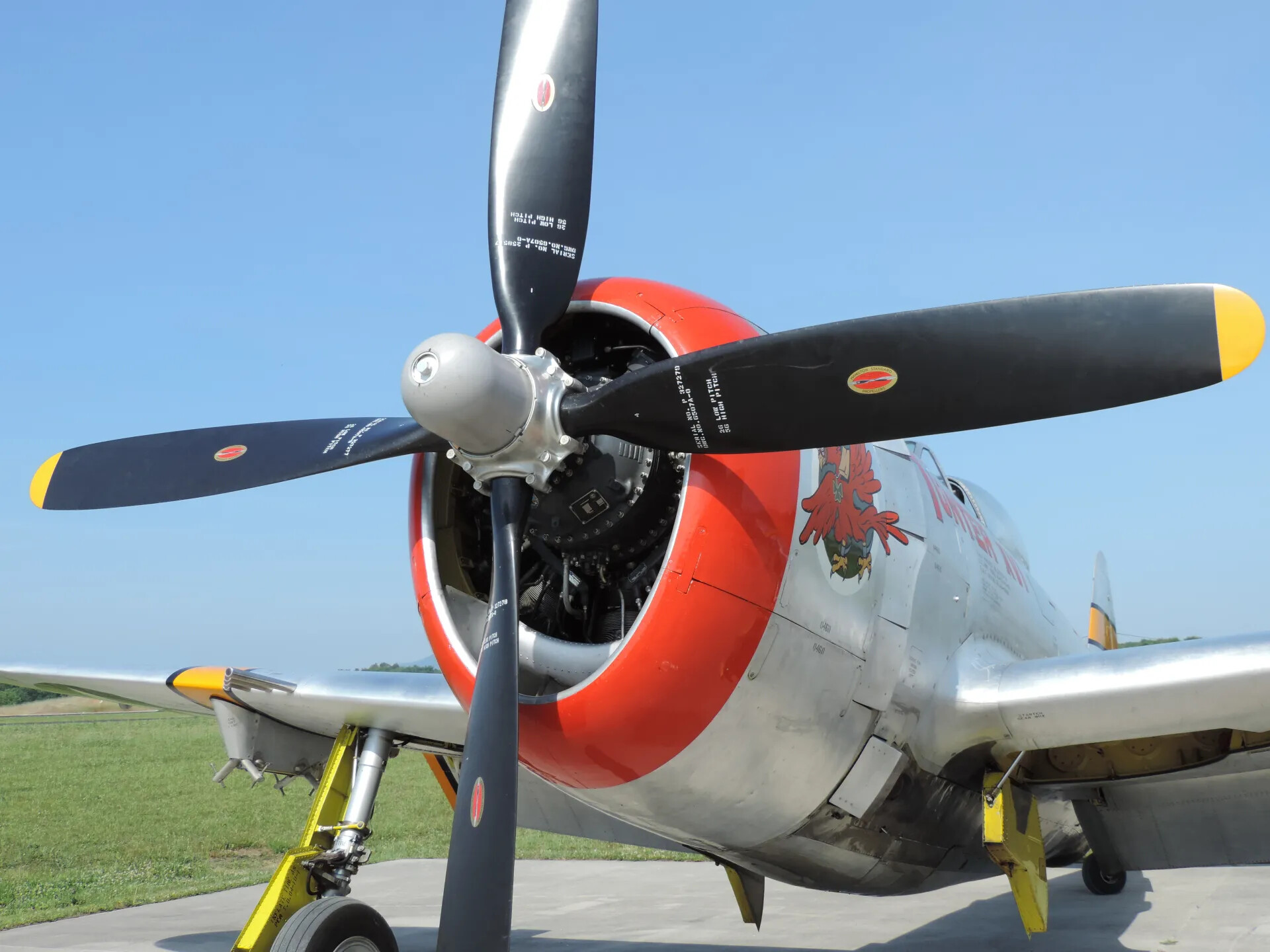 P-47 Thunderbolt "Hun Hunter XVI" - Pratt & Whitney R-2800 Engine and Propeller Detail