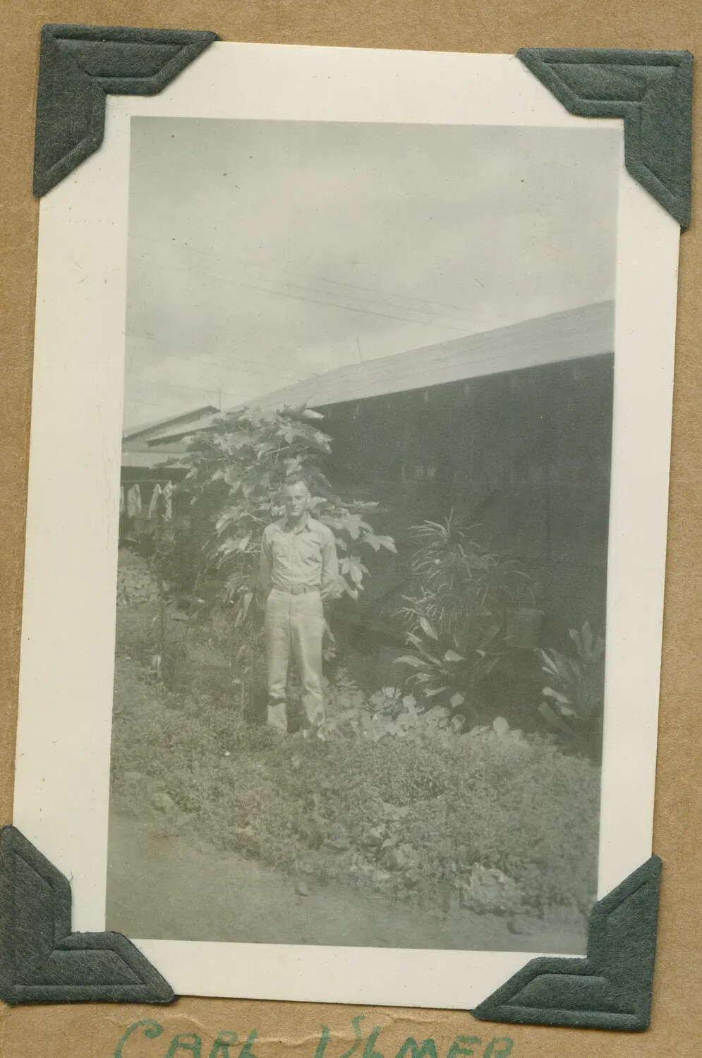 Portrait of Serviceman 'Carl Ulmer' in Camp Garden, Hawaii, WWII Era