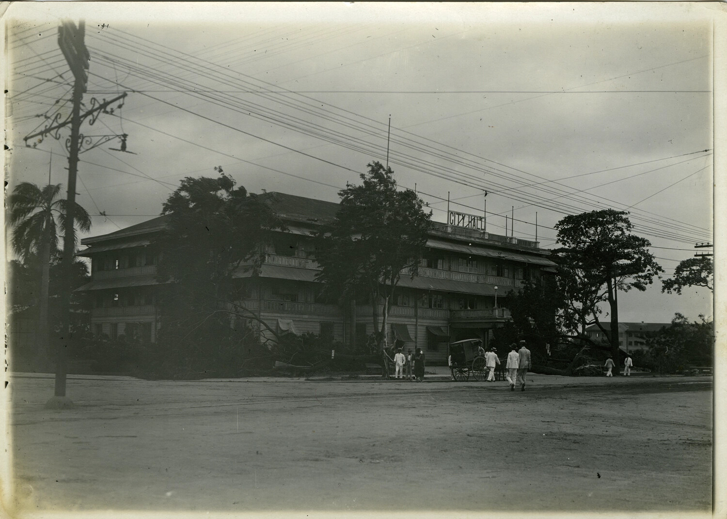 Storm-Damaged Trees Before City Hall, Philippines, Early 1900s — Carl Stone Collection