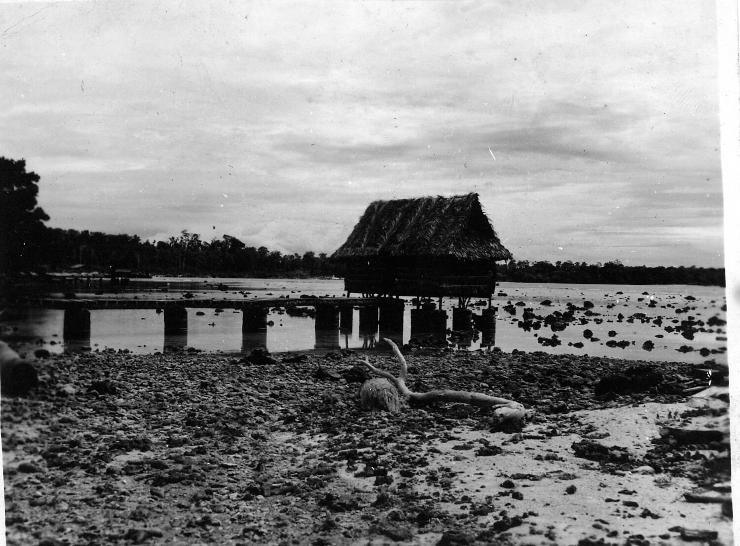 Thatched Pile-Dwelling over Tidal Lagoon, Pacific Islands Setting