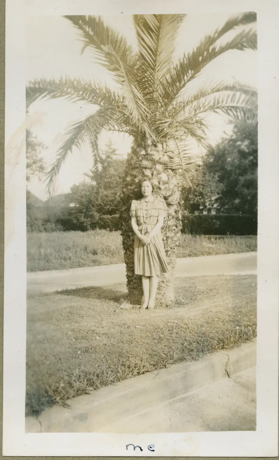 Portrait of a Woman Beneath a Palm Tree (Personal Snapshot)