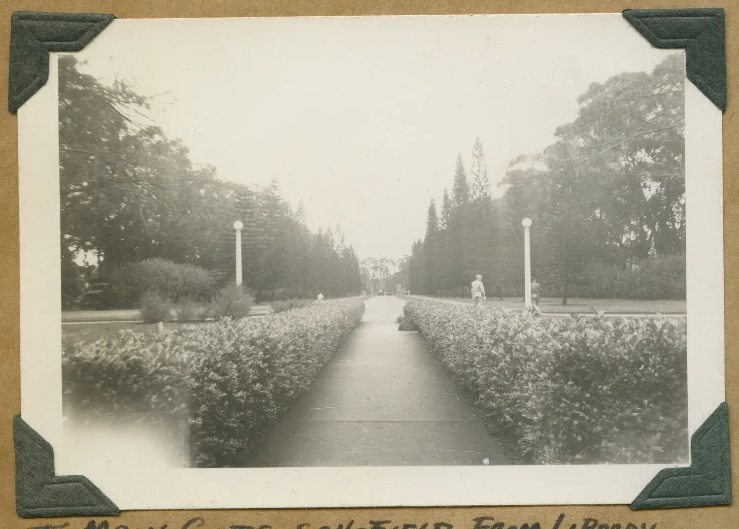 Tree-Lined Walkway to Main Gate, Schofield Barracks, Oahu, Hawaii, WWII Era