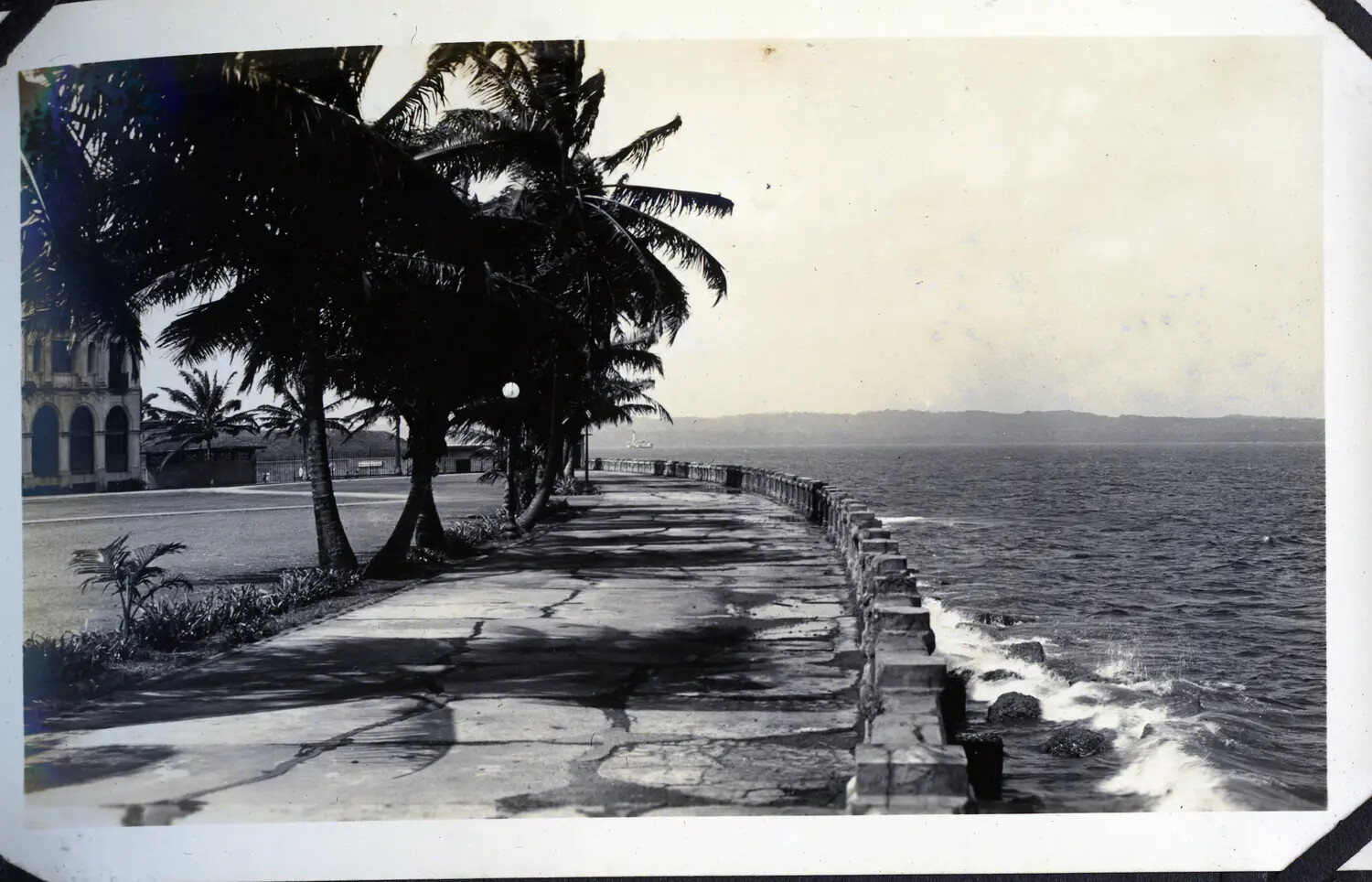 Seawall Promenade with Palm Trees, Panama Canal Zone, WWII Era