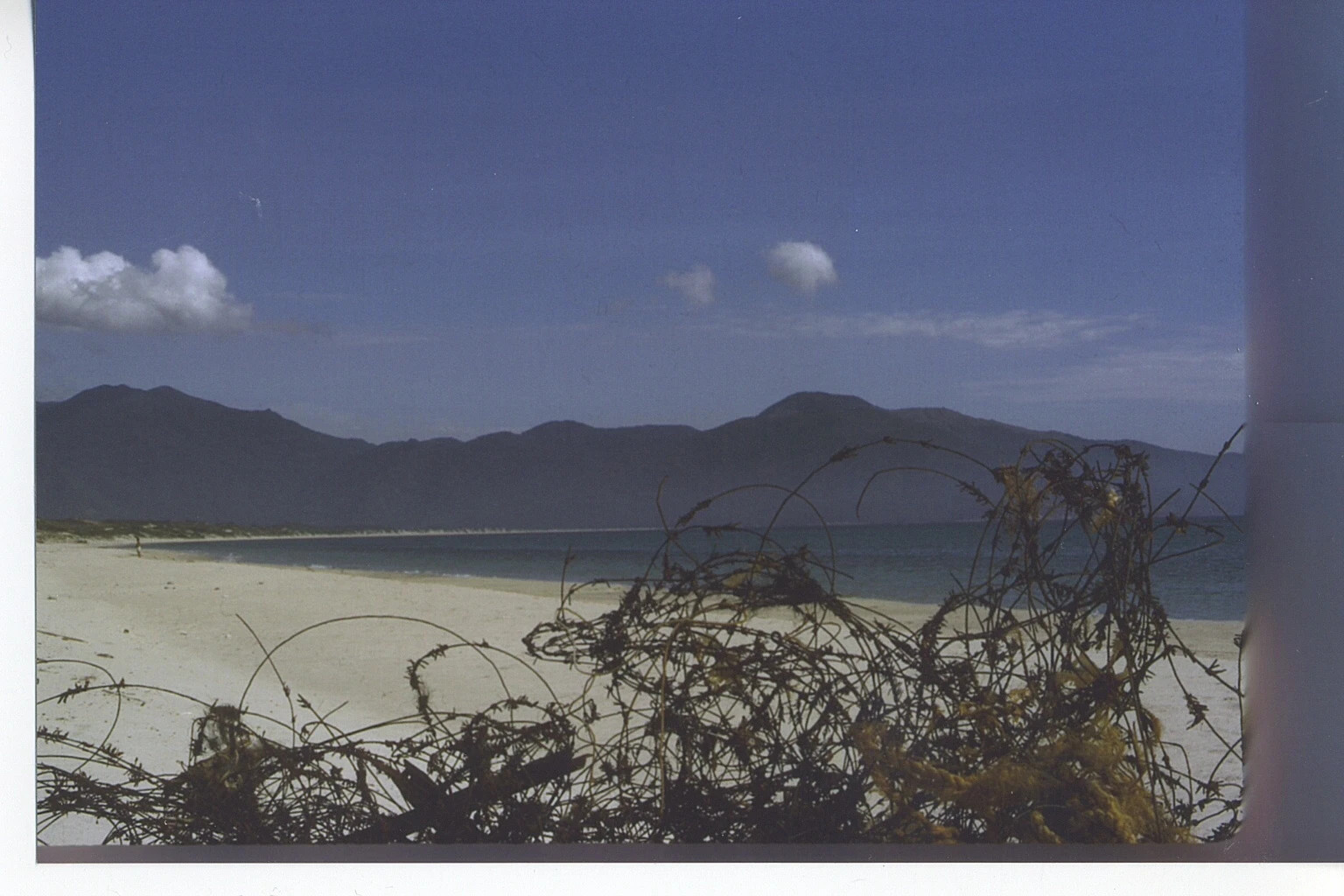 Coastal Landscape with Mountain Ridge and Overhanging Vegetation, Southeast Asia (Scan Orientation Inverted)