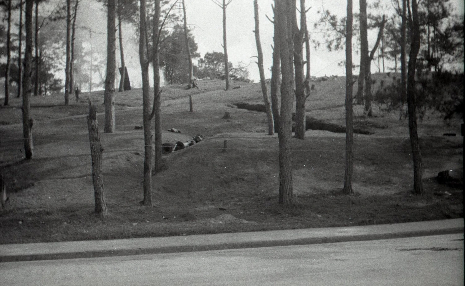 Trench Line on Wooded Hillside with Smoke in Background, Camp John Hay, Philippines, WWII