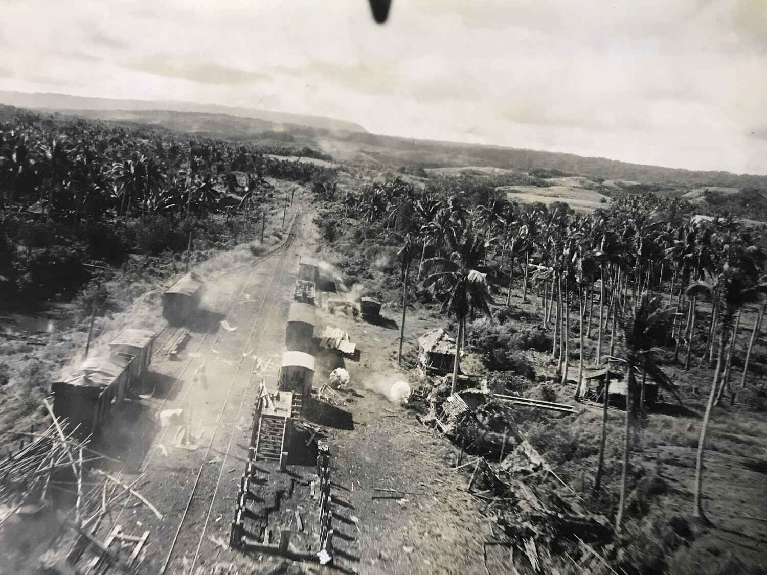 Strafing Attack on Rail Line Through Coconut Plantation, Pacific Theater