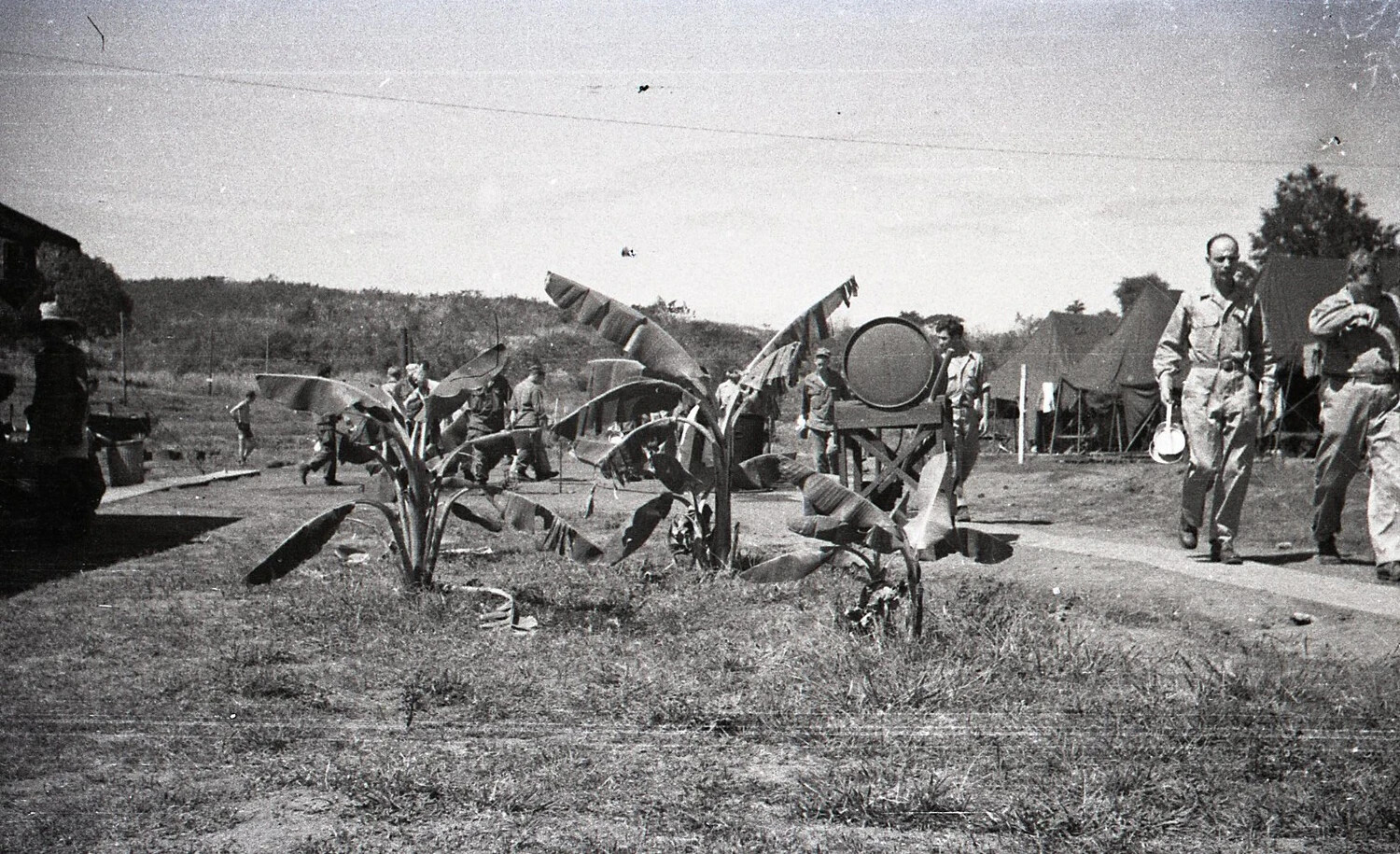 U.S. Army Encampment with Banana Plants, Luzon, Philippines, WWII