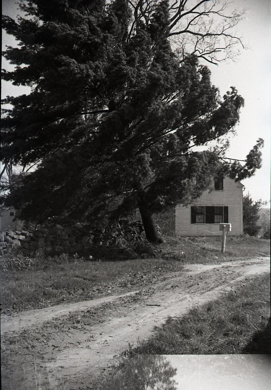 Farmhouse and Stone Wall Along a Country Lane, Nashua, New Hampshire, September 1938