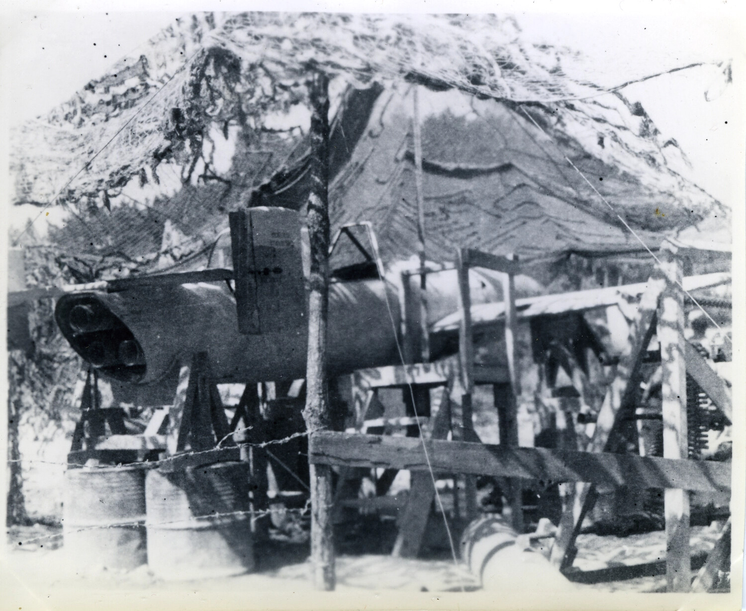 Wrecked/Abandoned Biplane in Tall Grass, Okinawa Area