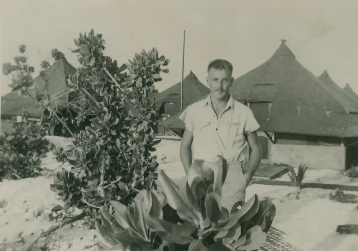 Portrait of Serviceman Edward P. McAleer at Pacific Island Military Encampment, WWII