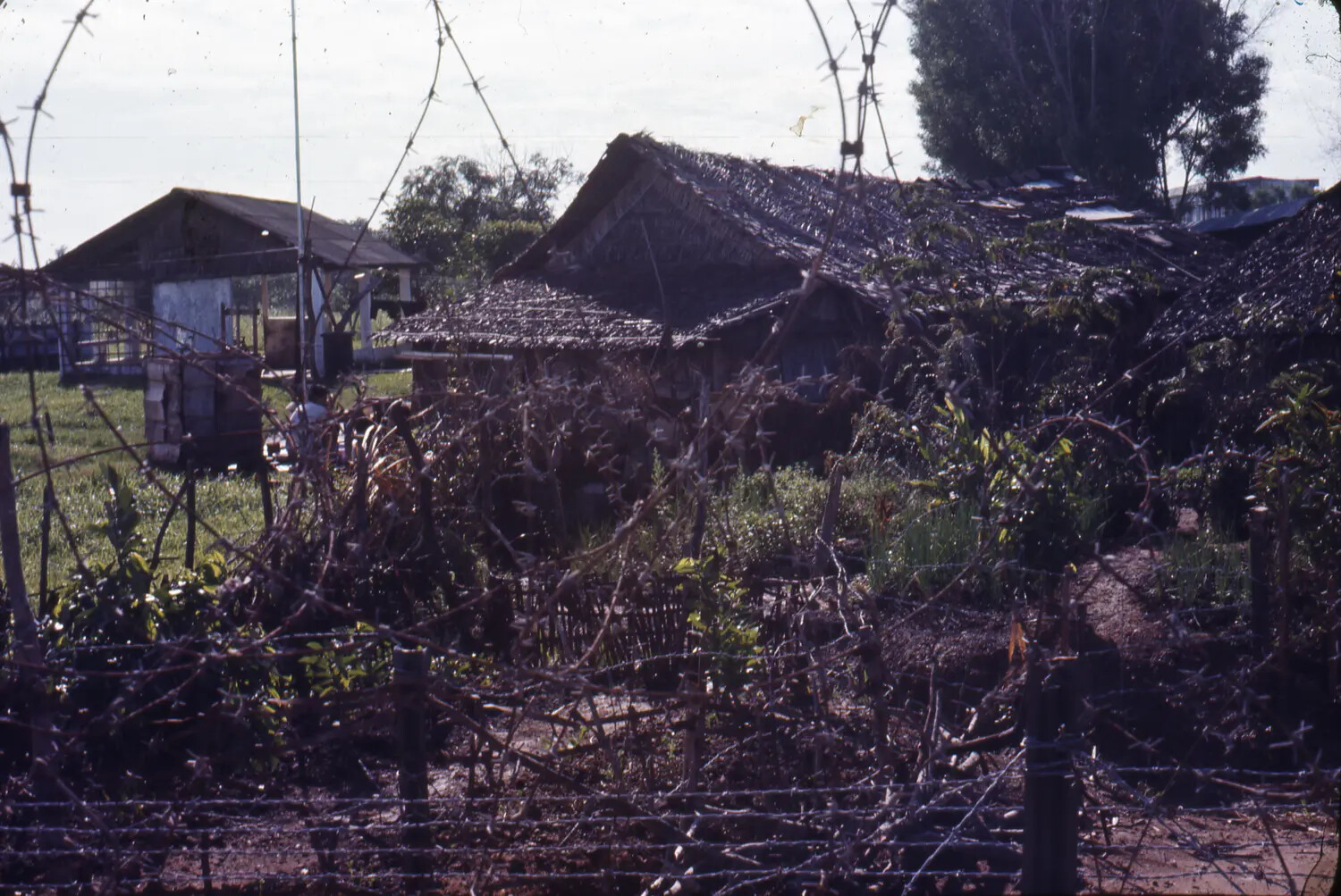 Vietnamese Village Seen Through Perimeter Barbed Wire, Vietnam War Era