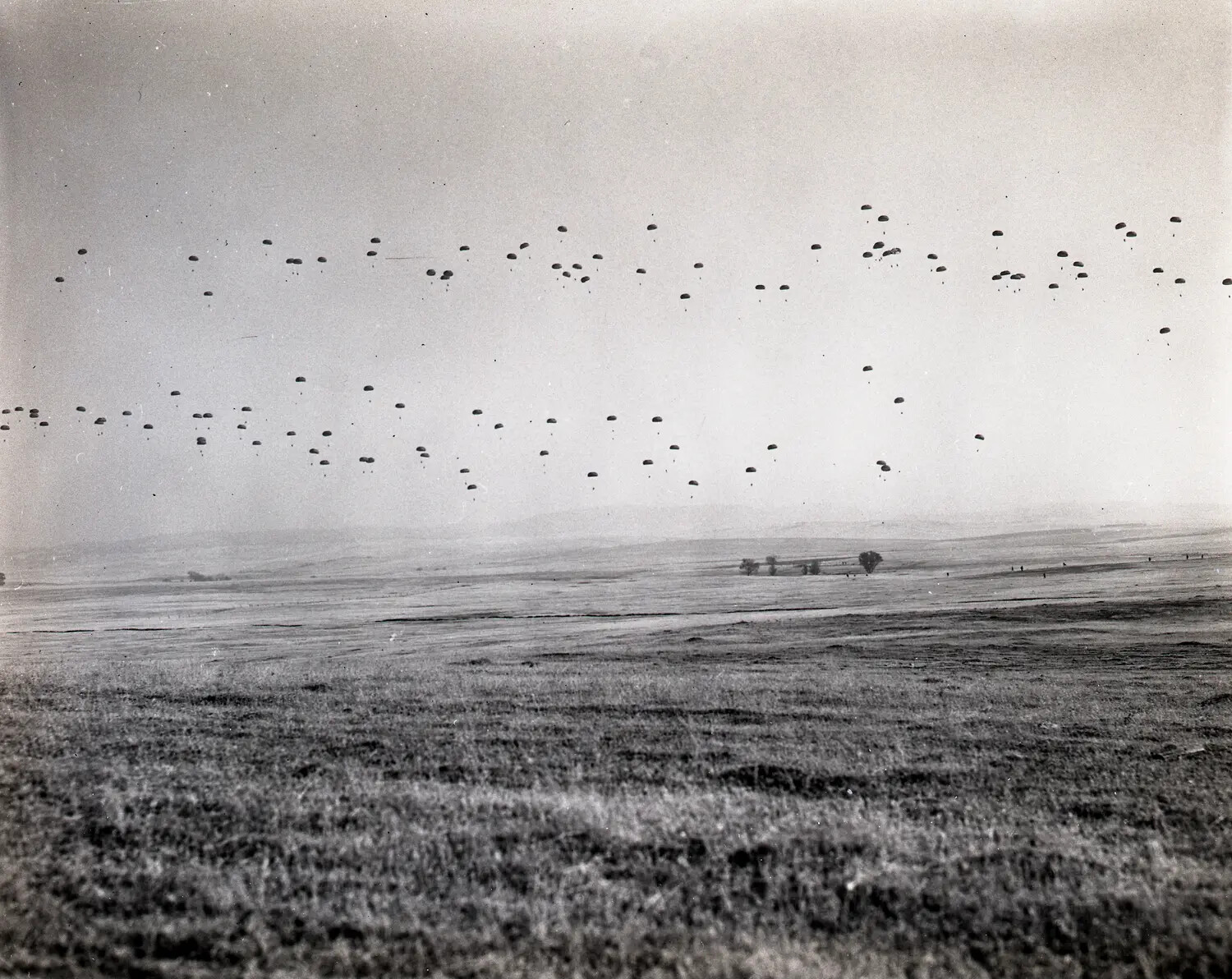Mass Parachute Drop Over Training Field, California National Guard/Army Exercise, c. 1960