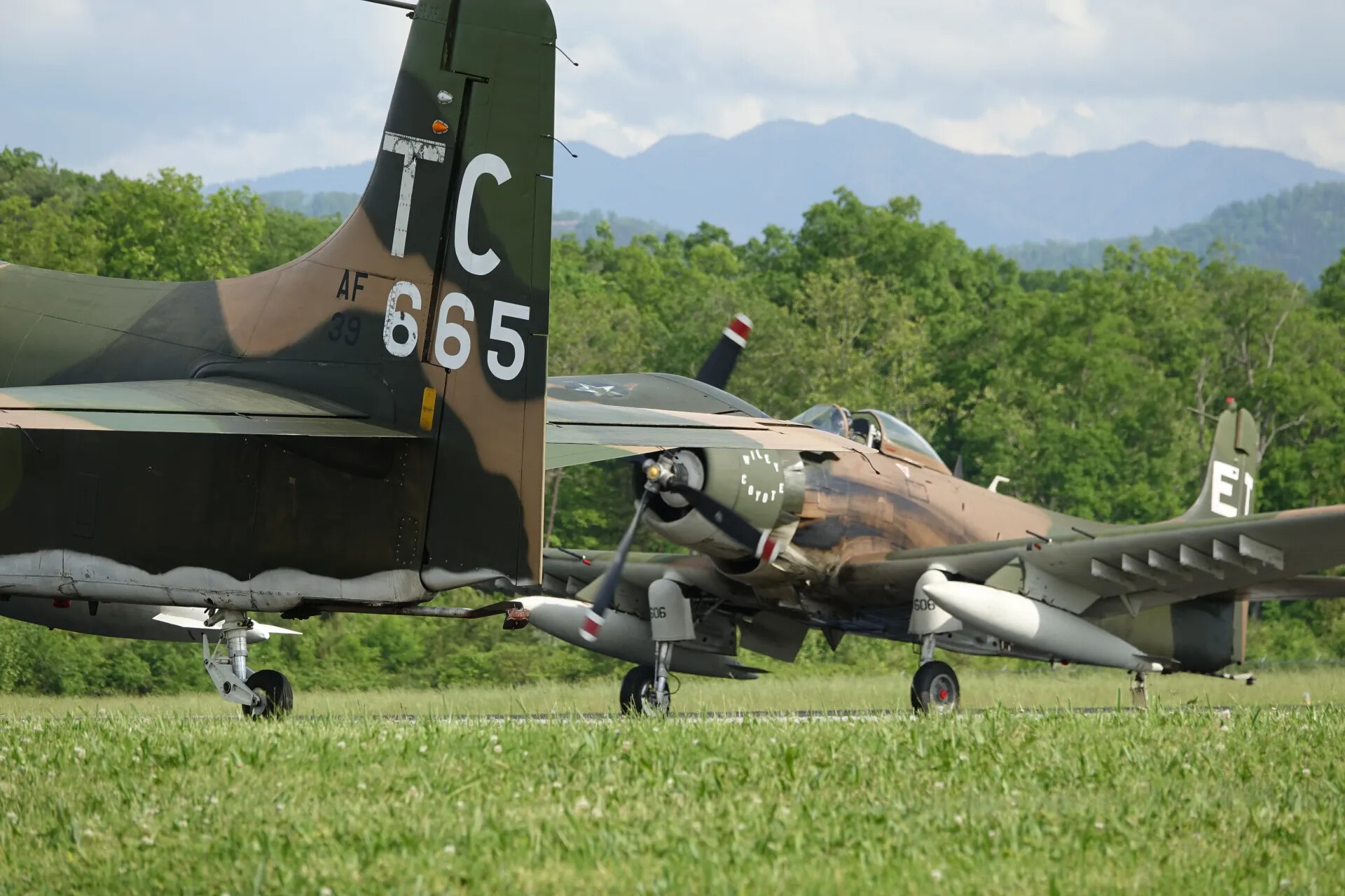 Two Douglas A-1 Skyraider Warbirds on Display Ramp, 'TC 665' and 'Wiley Coyote', May 2019 Fly-In