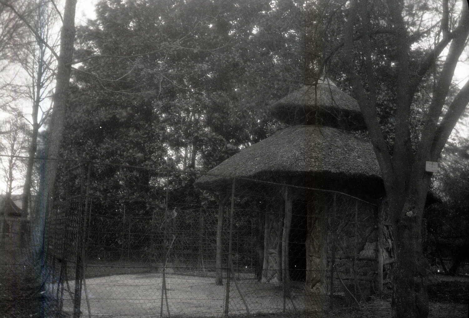 Thatched Garden Structure with Wire Enclosure, England, World War I Era